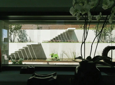 Single Family House Stuttgart - stairs - water details - outside plant - view from inside