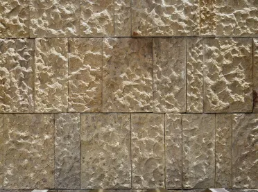 Private Residence Ahmedabad - new construction - facade - sandstone