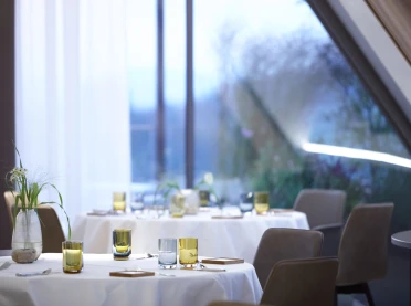 gourmet restaurant - new construction - Restaurant Johanns Waldkirchen - dining table - situation -  setup - scene
