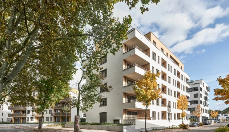 Typologies :: blocher partners