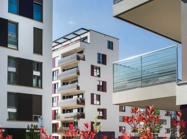 residential complex - Residential Park Niederfeld  - central courtyard - coloring and nature