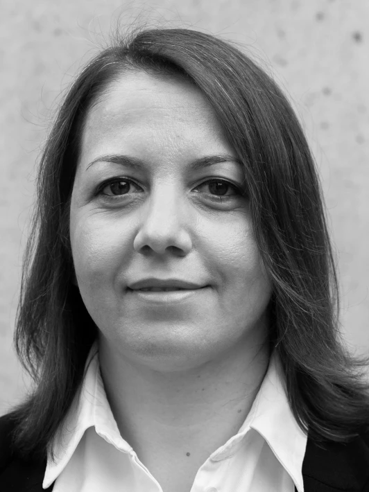erzana ismaili